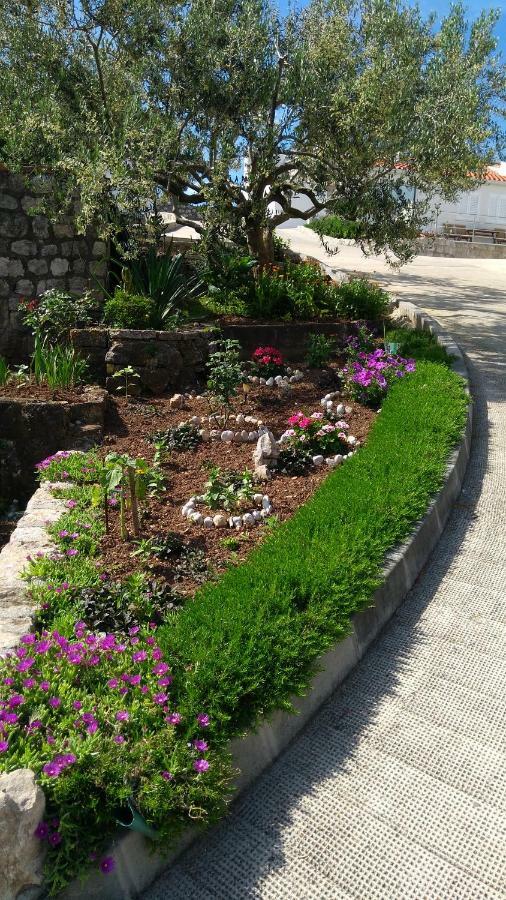 דוברובניק Guest House Eight Roses מראה חיצוני תמונה